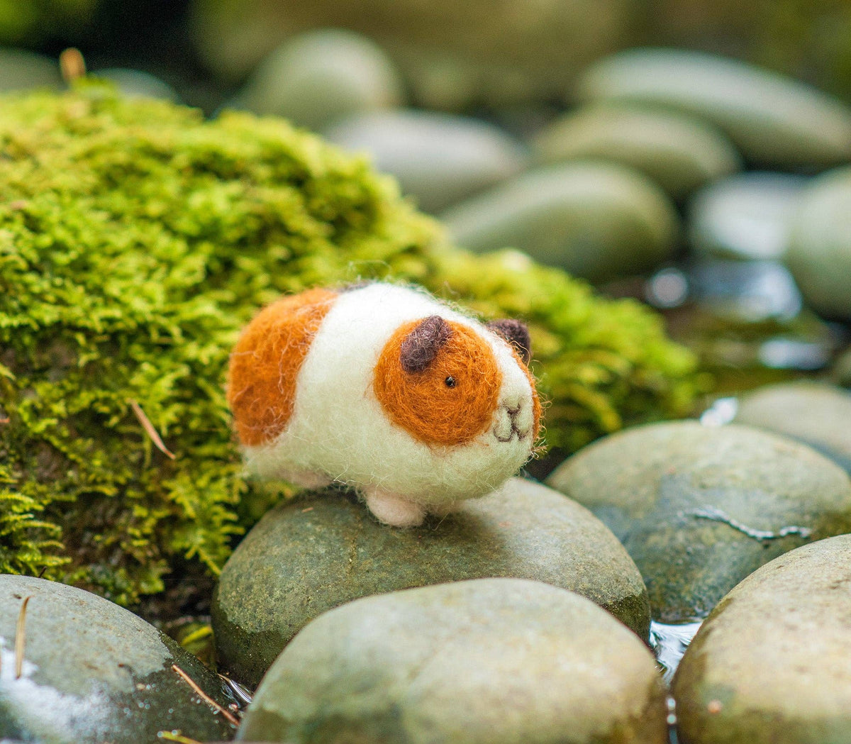 Curated visual reference: Guinea Pig Pre Wholesale Fiberc Recipes Reference: Guinea Pigs Felting Kit
