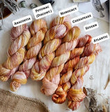 Chesapeake Organic Cotton - Fingering