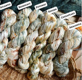Chesapeake Organic Cotton - Fingering