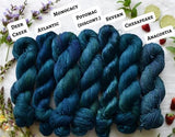 Chesapeake Organic Cotton - Fingering