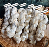Chesapeake Organic Cotton - Fingering