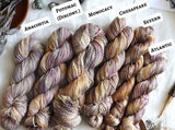 Chesapeake Organic Cotton - Fingering