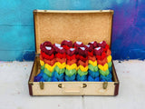 Squishy Skeinette Chains: Bird of Paradise