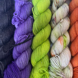 Mini Skein Sets, by Passion Knits Yarn