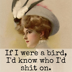 If I Were A Bird, I'd Know... Fridge Magnet. 320