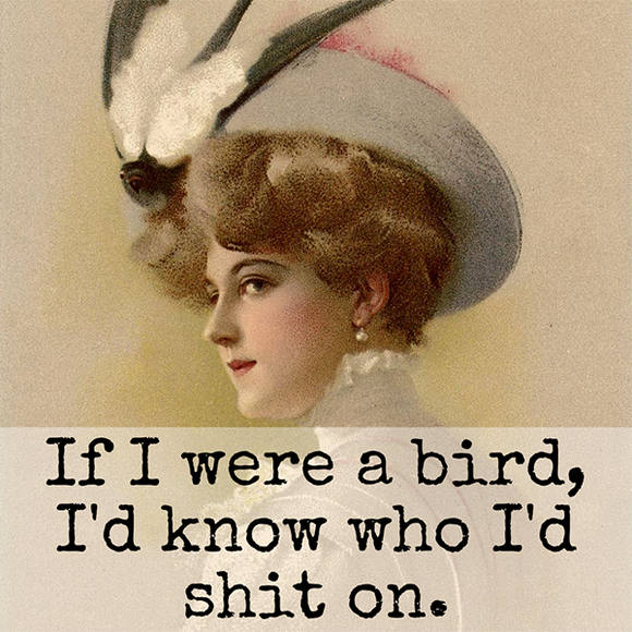 If I Were A Bird, I'd Know... Fridge Magnet. 320