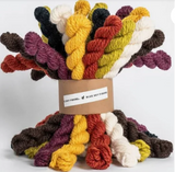 Woolstok - 21 Worsted Mini Hanks