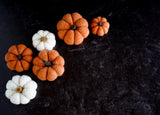 Needle Felting Kit