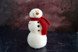 Needle Felting Kit