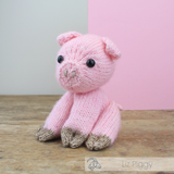 DIY Knitting Kit - Liz Piggy