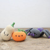 DIY Crochet Kit - Pumpkin Set