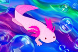 Axolotl Mini Jigsaw Puzzle