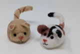 Kitty Companions