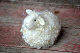 Needle Felting Kit