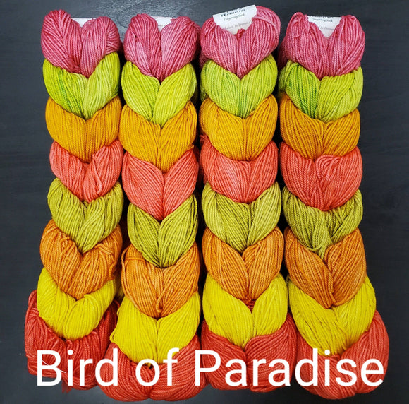 Squishy Skeinette Chains: Bird of Paradise