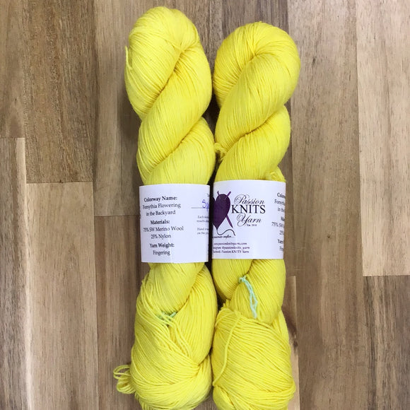 Spellbound Fingering, by Passion Knits Yarn